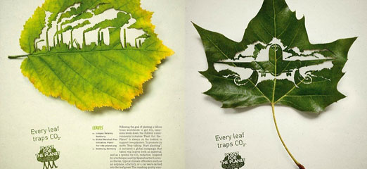 Sustainability-themed adverts