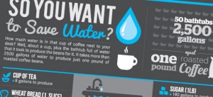 So You Want To Save Water?